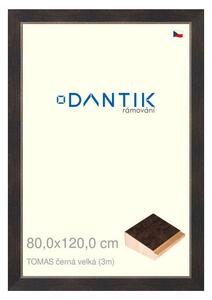 DANTIK rám na obraz 80x120 | TOMAS černá velká (Plexi Čiré)