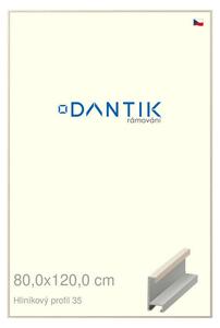 DANTIK rám na obraz 80x120 | ALU Dýha slonová kost (Plexi Čiré)