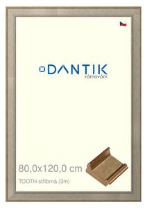 DANTIK rám na obraz 80x120 | TOOTH stříbrná (Plexi Čiré)