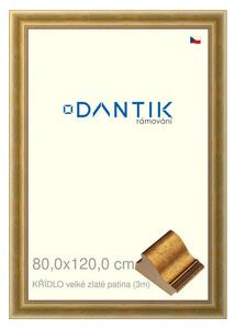 DANTIK rám na obraz 80x120 | KŘÍDLO velké zlaté patina (Plexi Čiré)