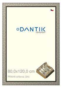 DANTIK rám na obraz 80x120 | PRAHA stříbrná (Plexi Čiré)