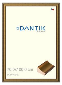 DANTIK rám na obraz 70x100 | Doprodej | METAL AU prohlá velká (Plexi Čiré)