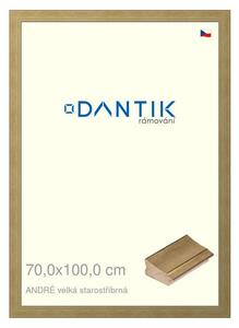 DANTIK rám na obraz 70x100 | ANDRÉ velká starostříbrná (Plexi Čiré)