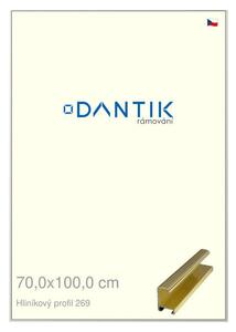 DANTIK rám na obraz 70x100 | ALU Zlatá lesklá (Plexi Čiré)
