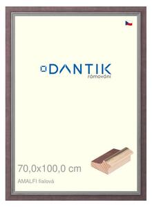 DANTIK rám na obraz 70x100 | AMALFI fialová (Plexi Čiré)