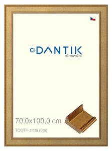 DANTIK rám na obraz 70x100 | TOOTH zlatá (Plexi Čiré)