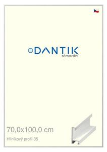 DANTIK rám na obraz 70x100 | ALU Dýha bílá (Plexi Čiré)