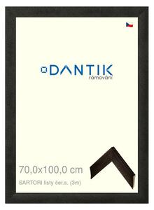 DANTIK rám na obraz 70x100 | SARTORI listy čer.s. (Plexi Čiré)