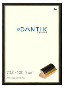 DANTIK rám na obraz 70x100 | ANIVERSA černá AU (Plexi Čiré)