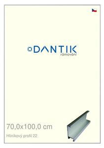 DANTIK rám na obraz 70x100 | ALU Stříbrná matná (Plexi Čiré)