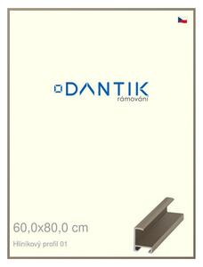 DANTIK rám na obraz 60x80 | ALU champagne (Plexi Čiré)