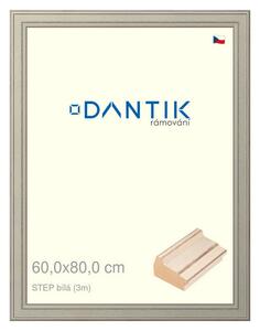 DANTIK rám na obraz 60x80 | STEP bílá (Plexi Čiré)