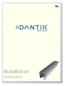 DANTIK rám na obraz 60x80 | ALU Stříbrná matná (Plexi Čiré)