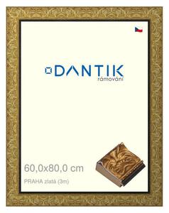 DANTIK rám na obraz 60x80 | PRAHA zlatá (Plexi Čiré)