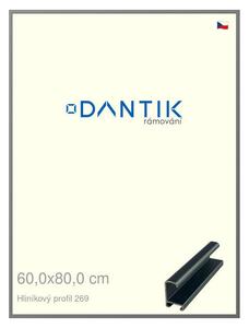 DANTIK rám na obraz 60x80 | ALU Platina matná (Plexi Čiré)