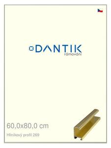DANTIK rám na obraz 60x80 | ALU Zlatá lesklá (Plexi Čiré)