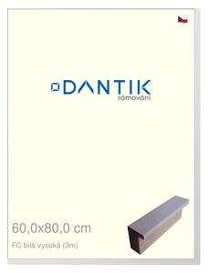 DANTIK rám na obraz 60x80 | FC Bílá vysoká (Plexi Čiré)