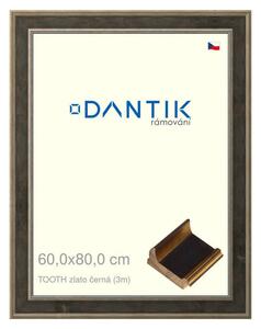 DANTIK rám na obraz 60x80 | TOOTH zlato černá (Plexi Čiré)