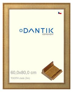 DANTIK rám na obraz 60x80 | TOOTH zlatá (Plexi Čiré)