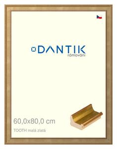 DANTIK rám na obraz 60x80 | TOOTH malá zlatá (Plexi Čiré)