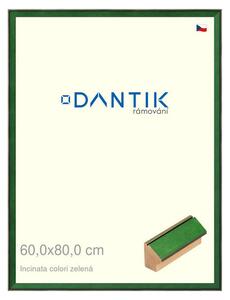 DANTIK rám na obraz 60x80 | INCLINATA colori zelená (Plexi Čiré)
