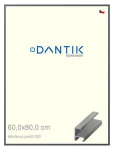 DANTIK rám na obraz 60x80 | ALU Ocelová (Plexi Čiré)