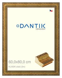 DANTIK rám na obraz 60x80 | KLASIK zlatá (Plexi Čiré)