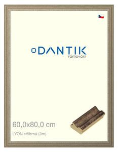 DANTIK rám na obraz 60x80 | LYON stříbrná (Plexi Čiré)