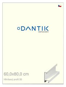 DANTIK rám na obraz 60x80 | ALU Dýha bílá (Plexi Čiré)