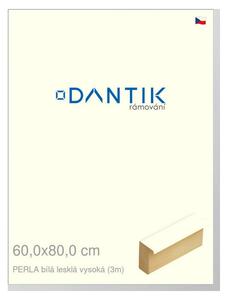 DANTIK rám na obraz 60x80 | PERLA bílá lesklá vysoká (Plexi Čiré)