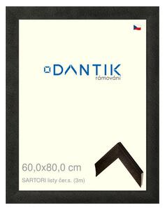 DANTIK rám na obraz 60x80 | SARTORI listy čer.s. (Plexi Čiré)
