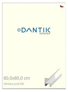 DANTIK rám na obraz 60x80 | ALU Bílá matná (Plexi Čiré)