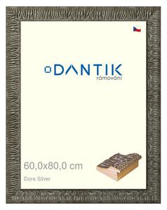 DANTIK rám na obraz 60x80 | Dora Silver (Plexi Čiré)
