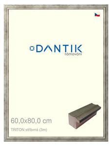 DANTIK rám na obraz 60x80 | TRITON stříbrná (Plexi Čiré)