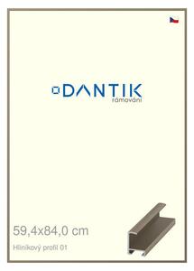 DANTIK rám na obraz 59,4x84 | ALU champagne (Plexi Čiré)