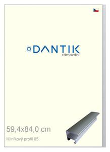 DANTIK rám na obraz 59,4x84 | ALU Stříbrná matná (Plexi Čiré)