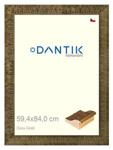 DANTIK rám na obraz 59,4x84 | Dora Gold (Plexi Čiré)