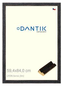 DANTIK rám na obraz 59,4x84 | LYON černá (Plexi Čiré)