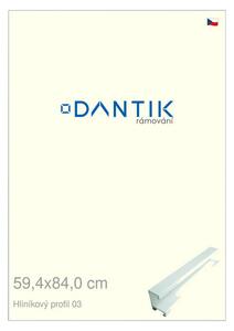DANTIK rám na obraz 59,4x84 | ALU Bílá matná (Plexi Čiré)
