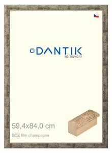 DANTIK rám na obraz 59,4x84 | BOX film champagne (Plexi Čiré)