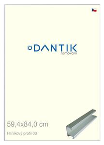 DANTIK rám na obraz 59,4x84 | ALU Stříbrná matná (Plexi Čiré)
