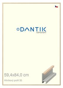 DANTIK rám na obraz 59,4x84 | ALU Dýha dub raw (Plexi Čiré)