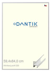 DANTIK rám na obraz 59,4x84 | ALU Bílá matná (Plexi Čiré)