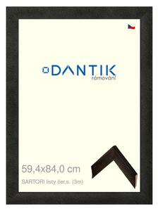 DANTIK rám na obraz 59,4x84 | SARTORI listy čer.s. (Plexi Čiré)