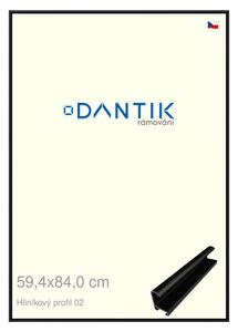DANTIK rám na obraz 59,4x84 | ALU Černá matná (Plexi Čiré)