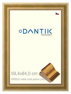 DANTIK rám na obraz 59,4x84 | KŘÍDLO velké zlaté patina (Plexi Čiré)