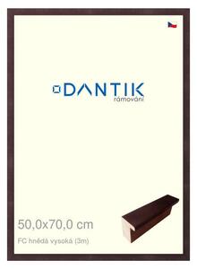 DANTIK rám na obraz 50x70 | FC hnědá vysoká (Plexi Čiré)