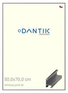 DANTIK rám na obraz 50x70 | ALU Ocelová (Plexi Čiré)