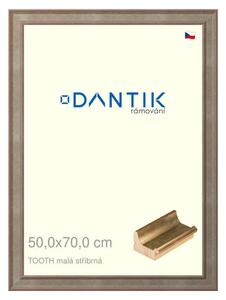 DANTIK rám na obraz 50x70 | TOOTH malá stříbrná (Plexi Čiré)