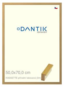 DANTIK rám na obraz 50x70 | KASSETTE přírodní lakovaná (Plexi Čiré)